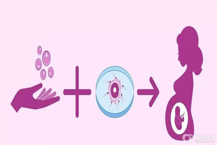 国内借卵试管代怀选性别(国内借卵试管代怀：选择宝宝性别的新方式)