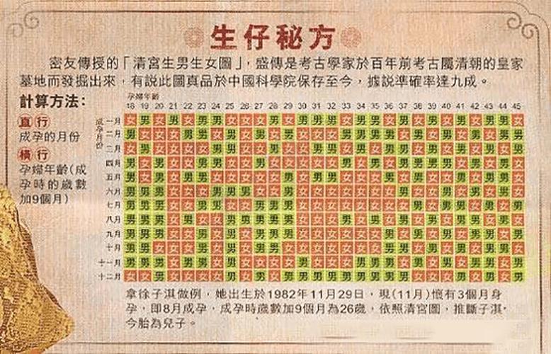 包生男孩明细-包生男孩明细解析：一窥包生男孩成长故事