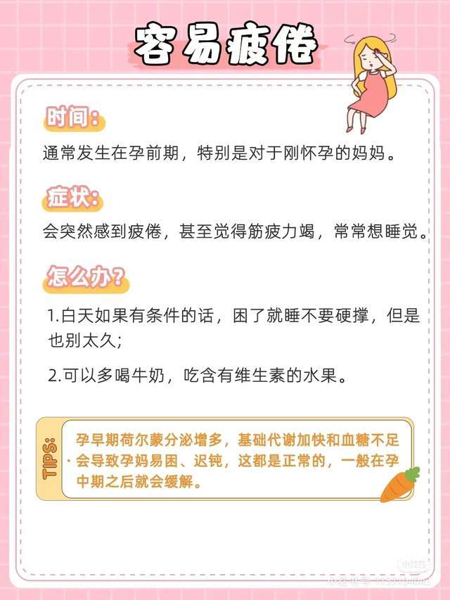 包生男孩指南【包生男孩指南：培养自信、独立和责任感】