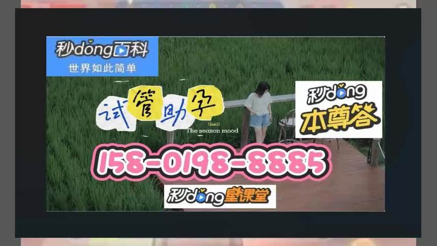 国内借卵试管代怀微信群(国内借卵试管代怀微信群,助力生育梦想)