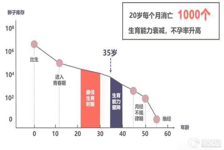 42岁试管晚不晚-42岁试管晚不晚：生育年龄的选择与风险